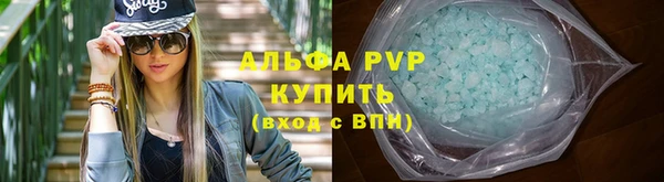 spice Аркадак