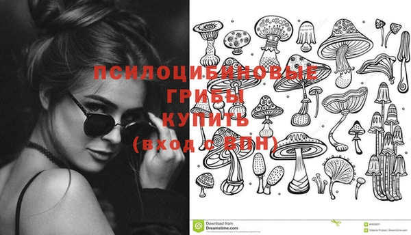 spice Аркадак