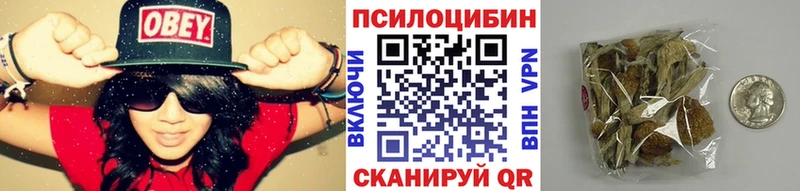 Псилоцибиновые грибы Magic Shrooms  Купить  Белозерск 